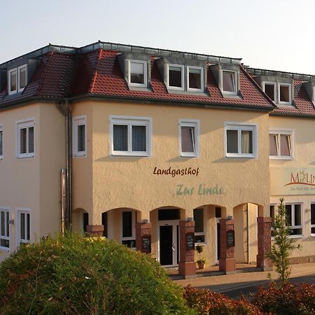 Hotel Linde Pfalz Silz  Экстерьер фото